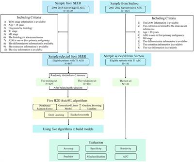 The development and validation of automated machine learning models for predicting lymph node metastasis in Siewert type II T1 adenocarcinoma of the esophagogastric junction